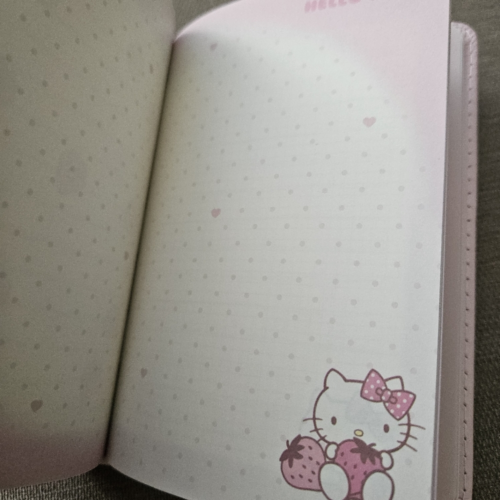 Hello Kitty Pink Notebook - Picture 7 of 10